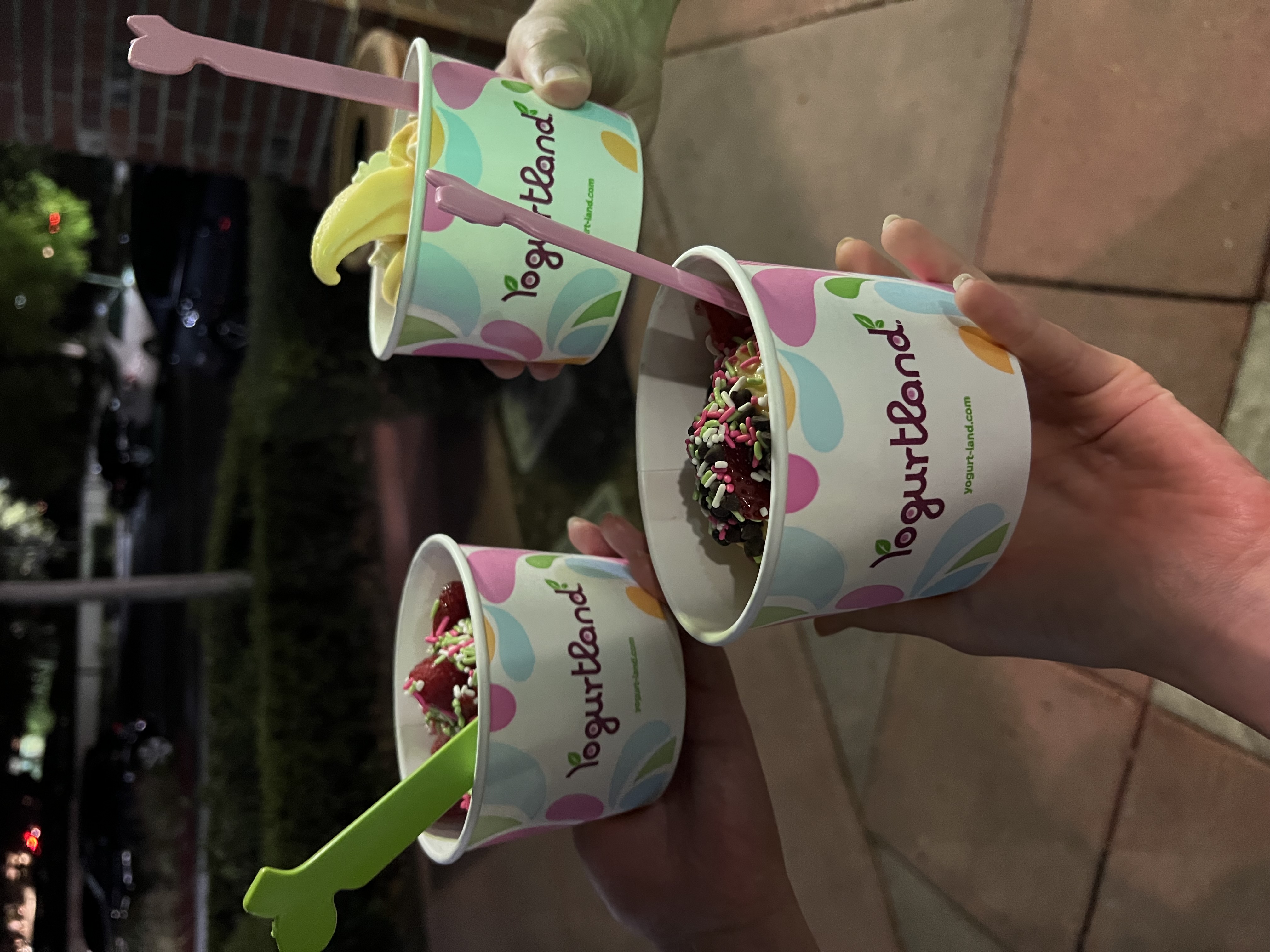 D42E Yogurtland 3 Mihir Chowdarapu