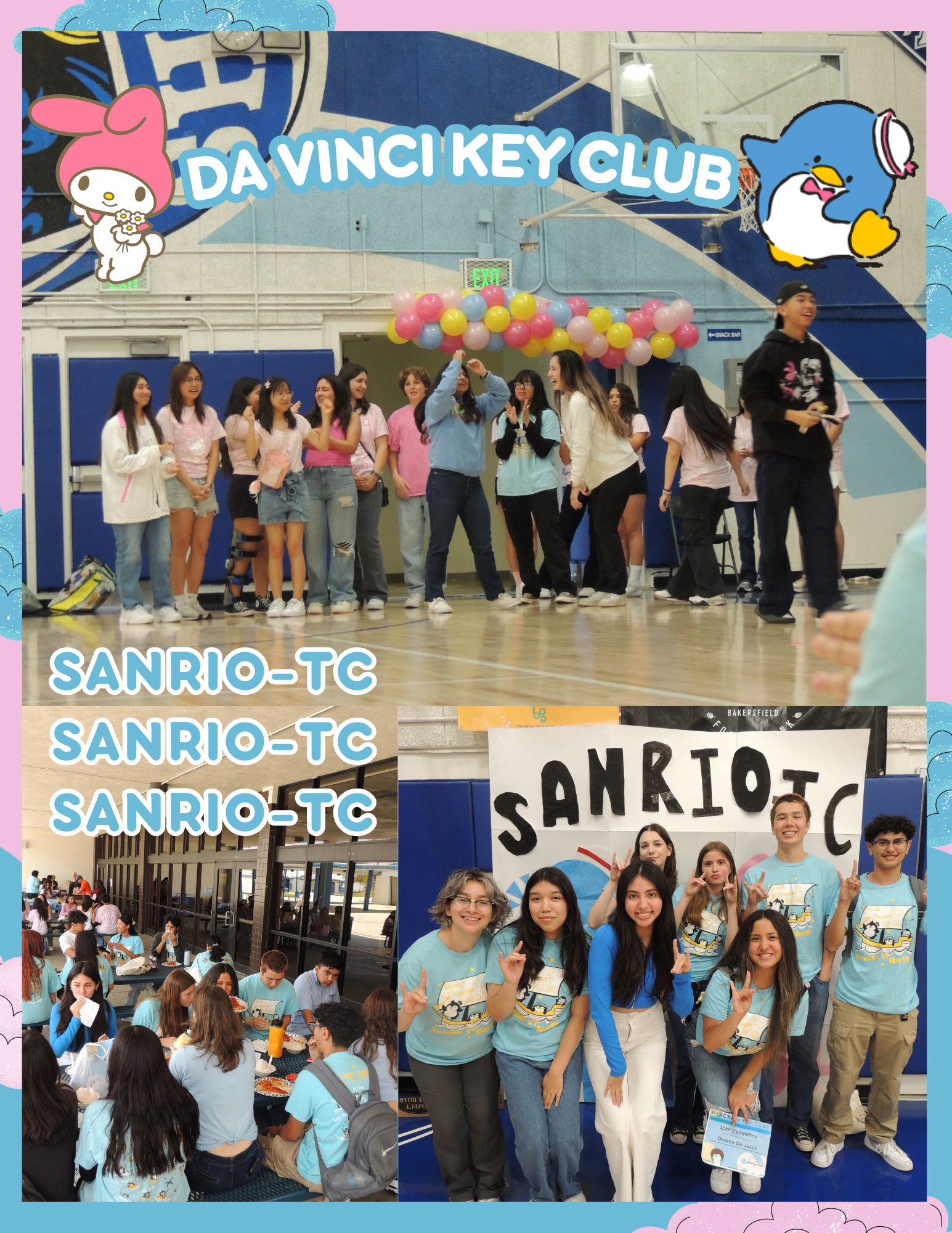 D19N SanriO TC